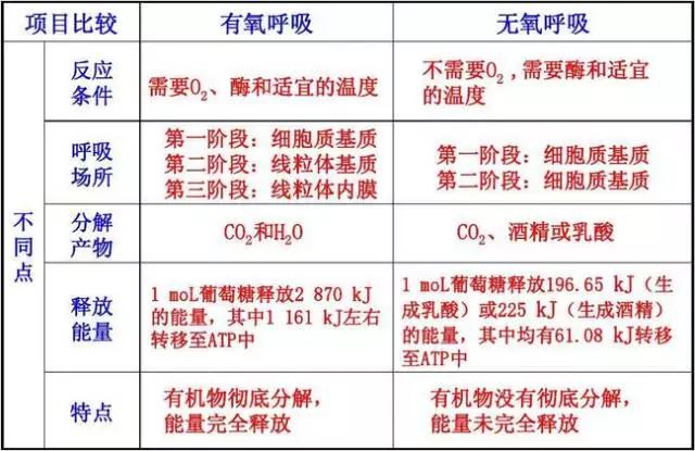 五,有氧呼吸與無氧呼吸的比較:四,有氧呼吸過程(主要在線粒體中進行)