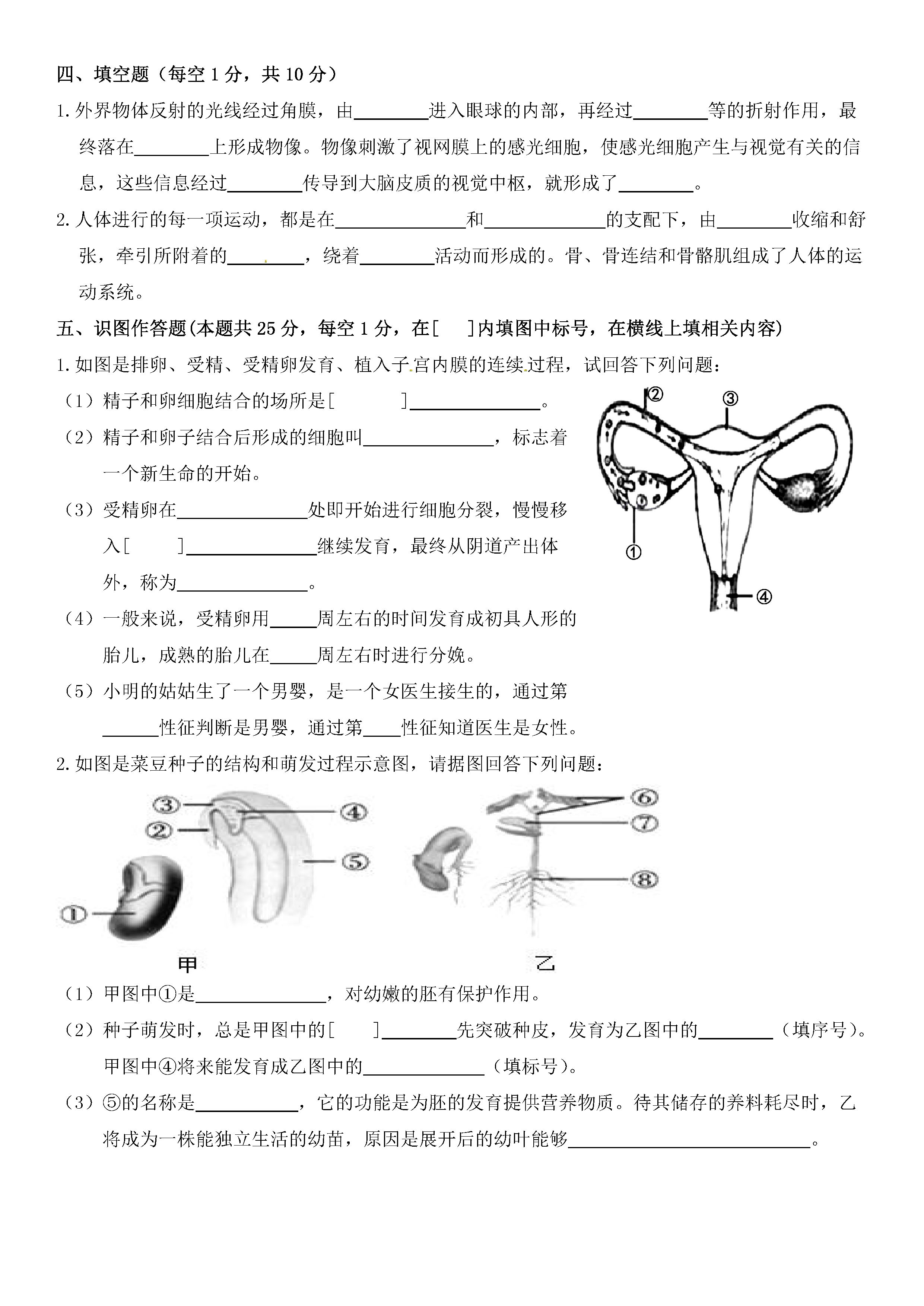 20192020宁夏大学附中初二生物上期末试题无答案